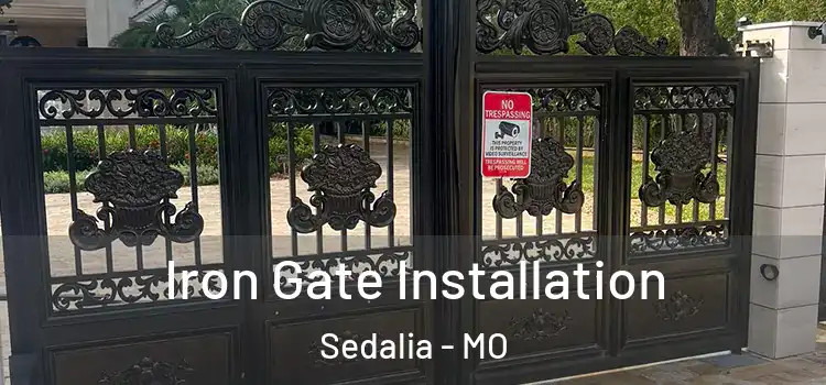 Iron Gate Installation Sedalia - MO